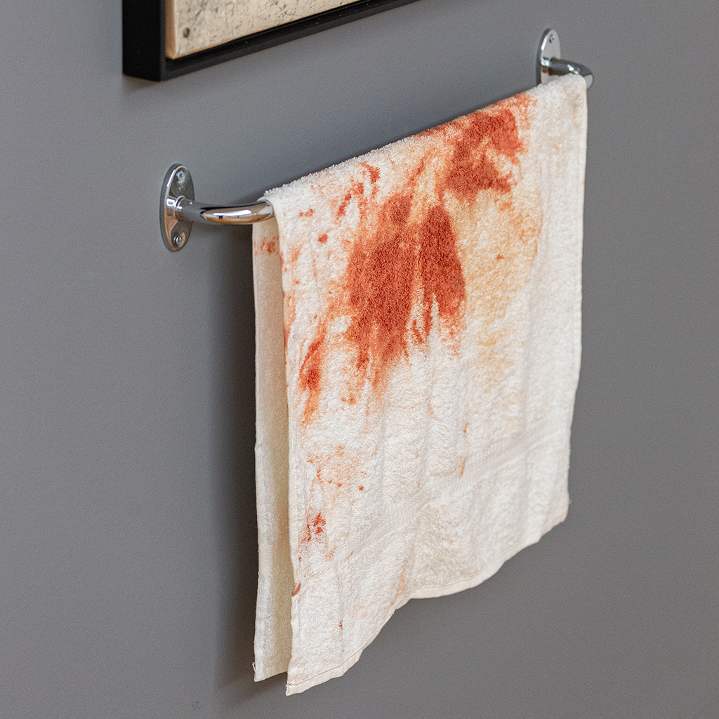 Pedro Tudela in the Serralves Collection