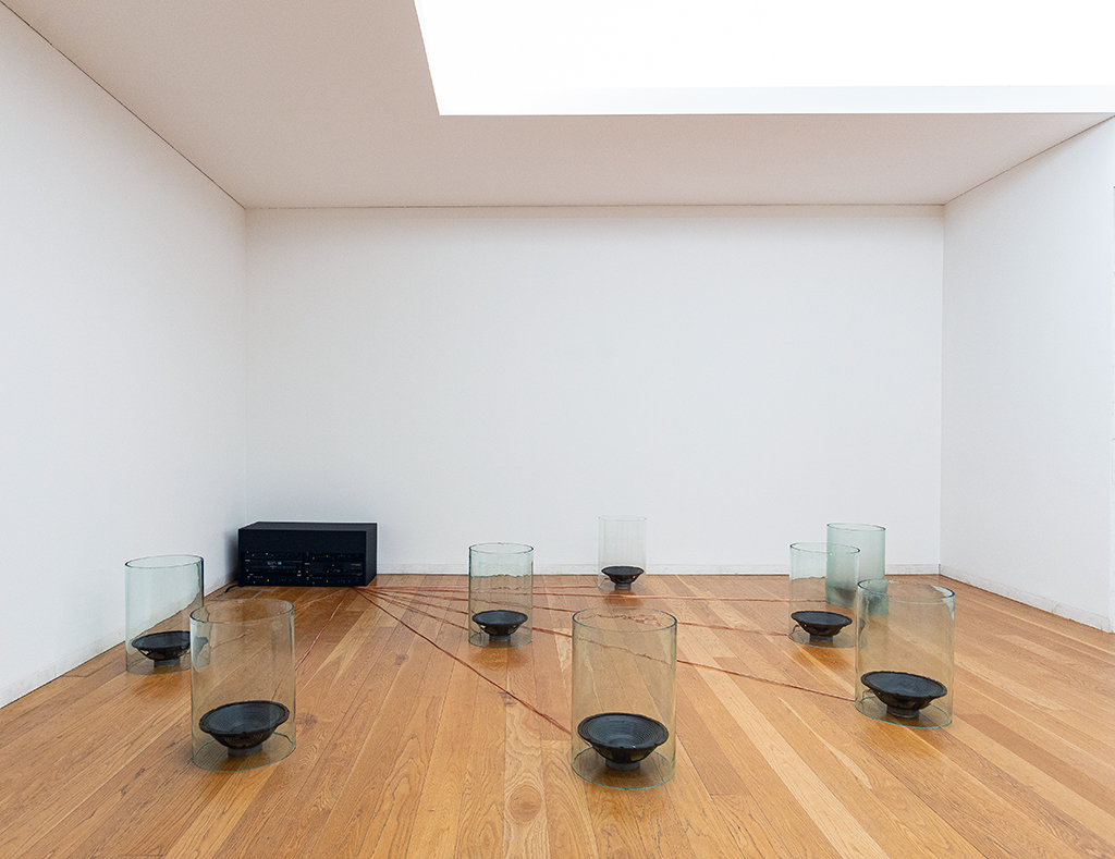 Pedro Tudela in the Serralves Collection
