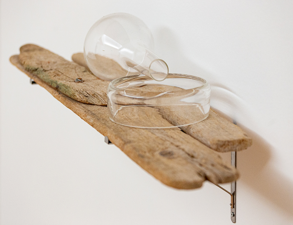 Pedro Tudela in the Serralves Collection