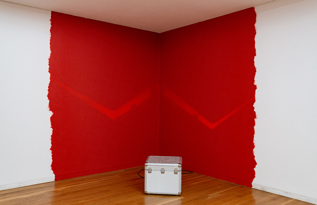 Pedro Tudela in the Serralves Collection